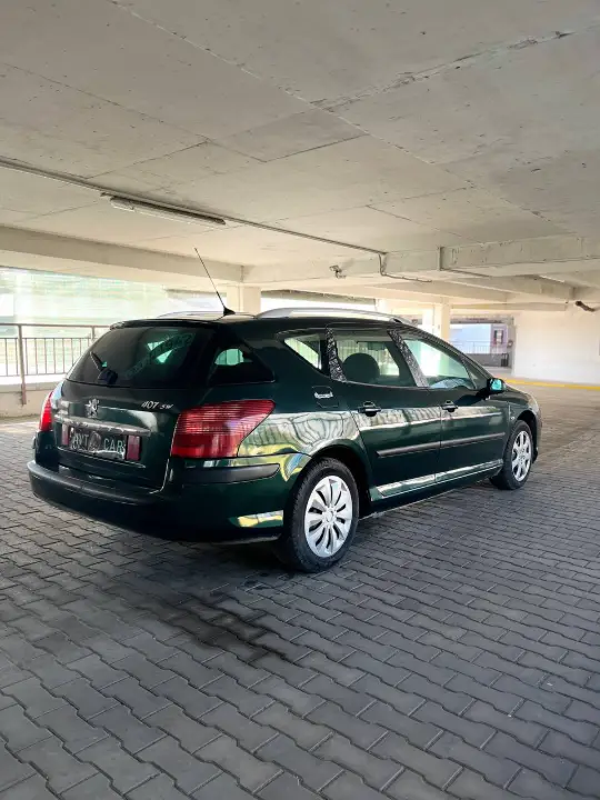 PEUGEOT 407