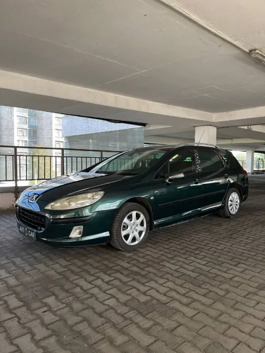 PEUGEOT 407